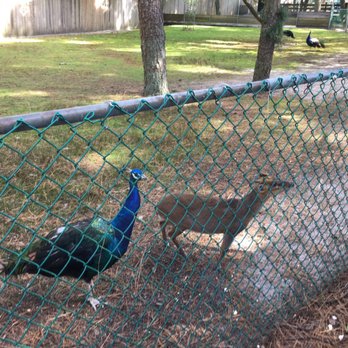 Popcorn Park Zoo - Zoos Near Me - Forked River, New Jersey