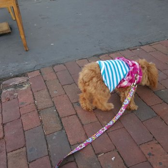 The Twisted Tail - Petfriendly outdoor - Venues & Event Spaces Near Me - Philadelphia, Pennsylvania The Twisted Tail - Petfriendly outdoor - Venues & Event Spaces Near Me - Philadelphia, Pennsylvania
