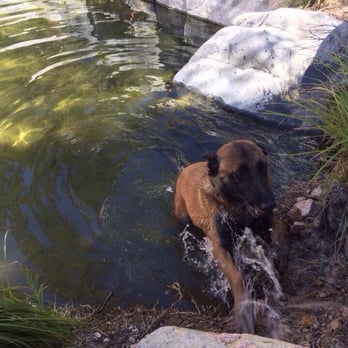 Peace On Deep Creek - Dog friendly - Climbing Near Me - Green Valley Lake, California Peace On Deep Creek - Dog friendly - Climbing Near Me - Green Valley Lake, California