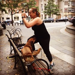 Trainers in Transit - Dogs make great workout partners