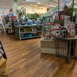Avoca - Avoca, Belfast