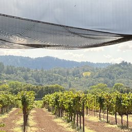 From the Tasting room.