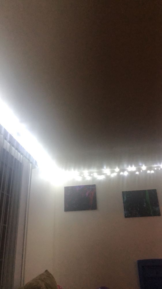 ABSOLUTE BUILDING & CLEANING SERVICES Updated August 2024 62 Photos