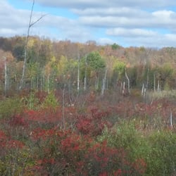 Red Maples Golf Course