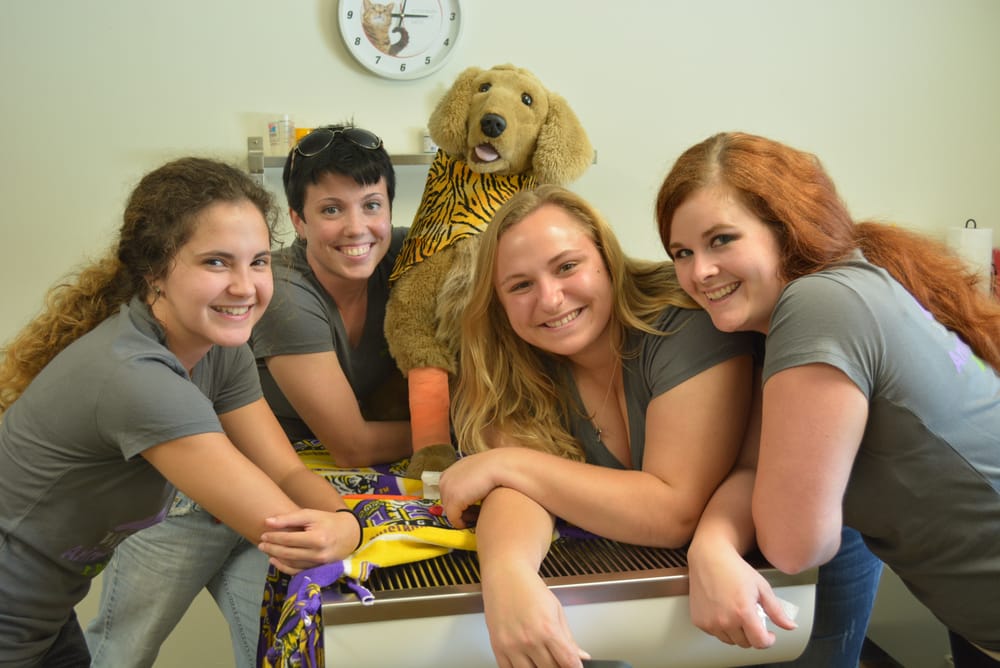 White Oak Animal Hospital - pet boarding facility in Baton Rouge, LA