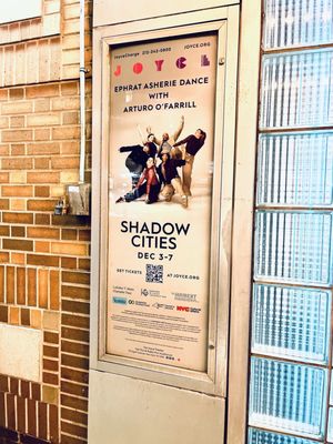 The Joyce Theater by null