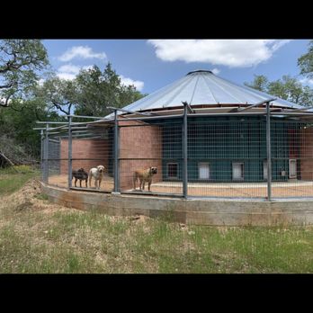 Lara's Canine Solutions - Radiant floors and climate controlled indoor/outdoor runs with our playmates! Solid walls between groups prevent frustration... - Pet Training Near Me - San Marcos, Texas Lara's Canine Solutions - Radiant floors and climate controlled indoor/outdoor runs with our playmates! Solid walls between groups prevent frustration... - Pet Training Near Me - San Marcos, Texas