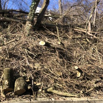 CJ's Tree Service - Tree Services Near Me - Pittsburgh, Pennsylvania CJ's Tree Service - Tree Services Near Me - Pittsburgh, Pennsylvania