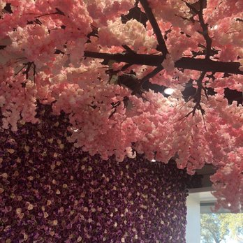 Kaffeinated Crepes & Coffee - Cherry blossom tree with a sheet of flower wall - Creperies Near Me - San Antonio, Texas Kaffeinated Crepes & Coffee - Cherry blossom tree with a sheet of flower wall - Creperies Near Me - San Antonio, Texas