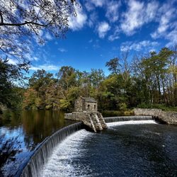 Speedwell Park