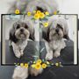 Photo of Happy Tails Pet Grooming