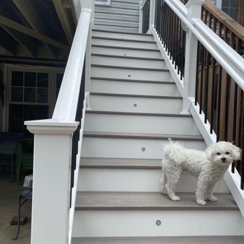 Essence Construction - a white dog standing on a set of stairs - General Contractors Near Me