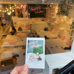 Crumbs & Whiskers - Kitten & Cat Cafe - View of the cat cafe from the outside, plus the free Polaroid they give you!