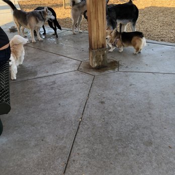 Cubby's Dog Park At Bernal - Dog Parks Near Me - Pleasanton, California Cubby's Dog Park At Bernal - Dog Parks Near Me - Pleasanton, California