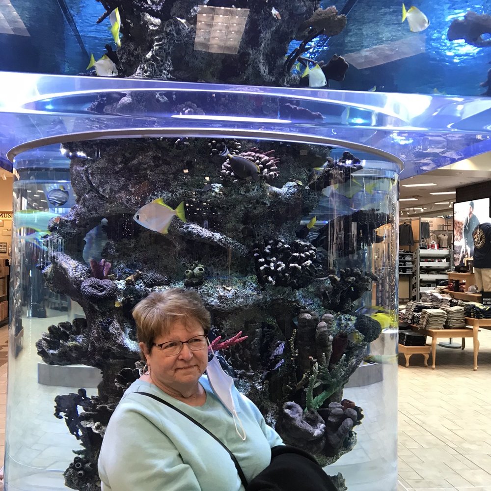Scheels - Just part of the Hugh Salt Water Fish Tank - Sports Wear Near Me - Sparks, Nevada Scheels - Just part of the Hugh Salt Water Fish Tank - Sports Wear Near Me - Sparks, Nevada