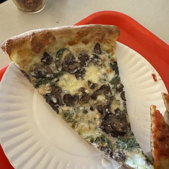 Mama's Boy - Mushroom - Pizza Near Me - Oakland, California Mama's Boy - Mushroom - Pizza Near Me - Oakland, California