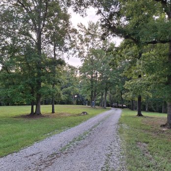 Coon Dog Cemetery - Funeral Services & Cemeteries Near Me - Cherokee, Alabama