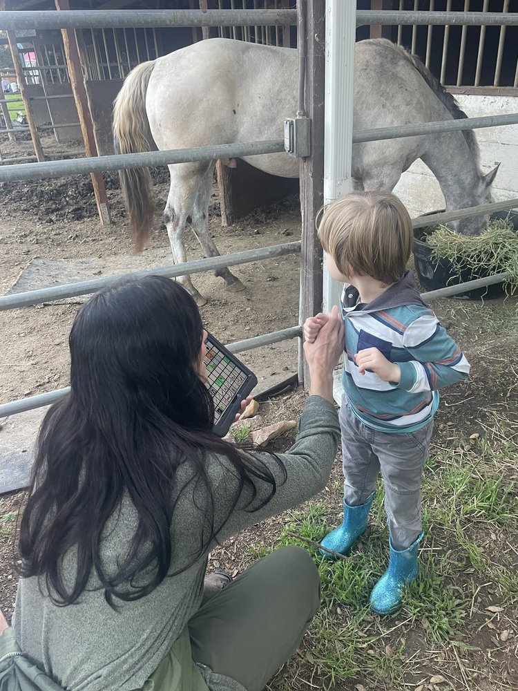 Speech-N-Motion - child therapist in San Marcos, CA