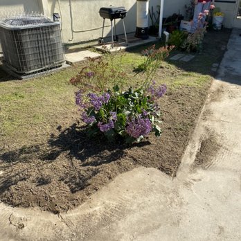 GN Landscape - After - Tree Services Near Me GN Landscape - After - Tree Services Near Me