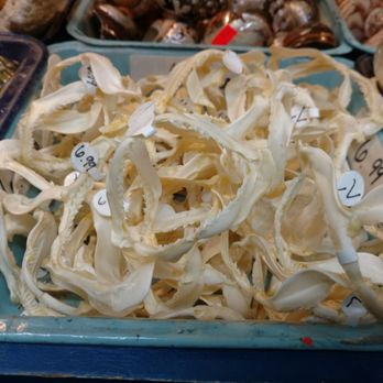 California Seashell Company - Mini Jaws - Home Decor Near Me - Seal Beach, California