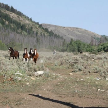 Medicine Bow Lodge - horses coming in to ride - Hotels Near Me - Saratoga, Wyoming Medicine Bow Lodge - horses coming in to ride - Hotels Near Me - Saratoga, Wyoming