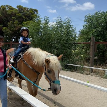 Barnyard Buddies - pony ride - Petting Zoos Near Me - Lakewood, California Barnyard Buddies - pony ride - Petting Zoos Near Me - Lakewood, California