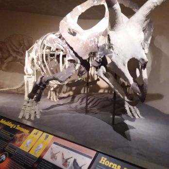 Milwaukee Public Museum - Torosaur. - Museums Near Me - Milwaukee, Wisconsin Milwaukee Public Museum - Torosaur. - Museums Near Me - Milwaukee, Wisconsin