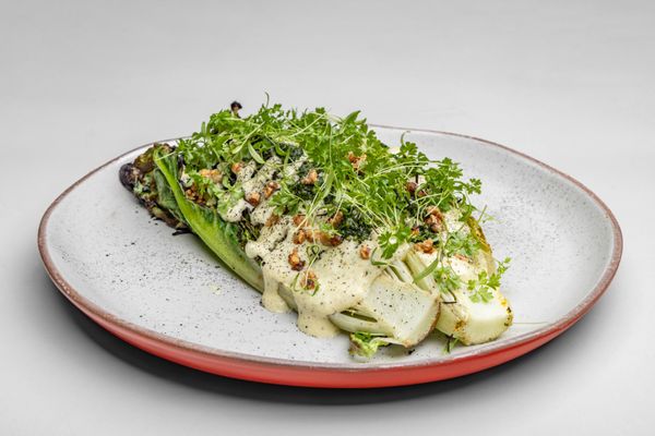 Madre Selva Atlanta | Latin & Peruvian Coastal Cuisine by null