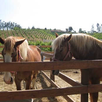 Longshadow Ranch Vineyard And Winery - Wineries Near Me - Temecula, California Longshadow Ranch Vineyard And Winery - Wineries Near Me - Temecula, California