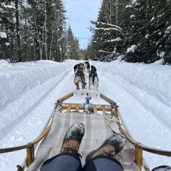 Alaska Aurora Adventures