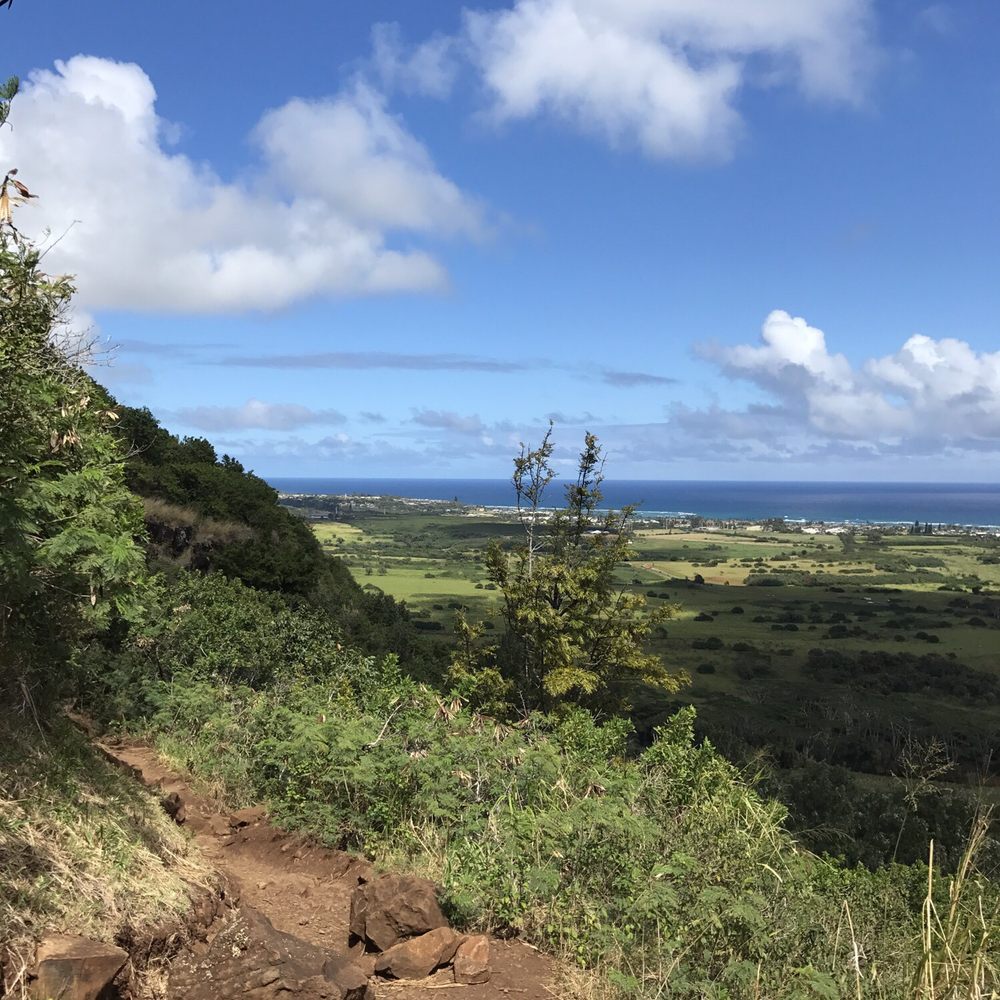 Sleeping Giant Trail - Hiking Near Me - Kapaa, Hawaii Sleeping Giant Trail - Hiking Near Me - Kapaa, Hawaii