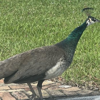 All America Park - Parks Near Me - South Miami, Florida All America Park - Parks Near Me - South Miami, Florida