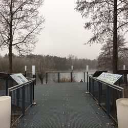 Staudenweiher