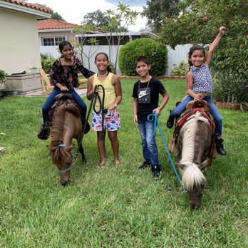 La boly farm - Ponies! - Party & Event Planning Near Me