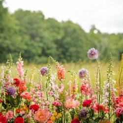 Chatham Flowers and Gifts