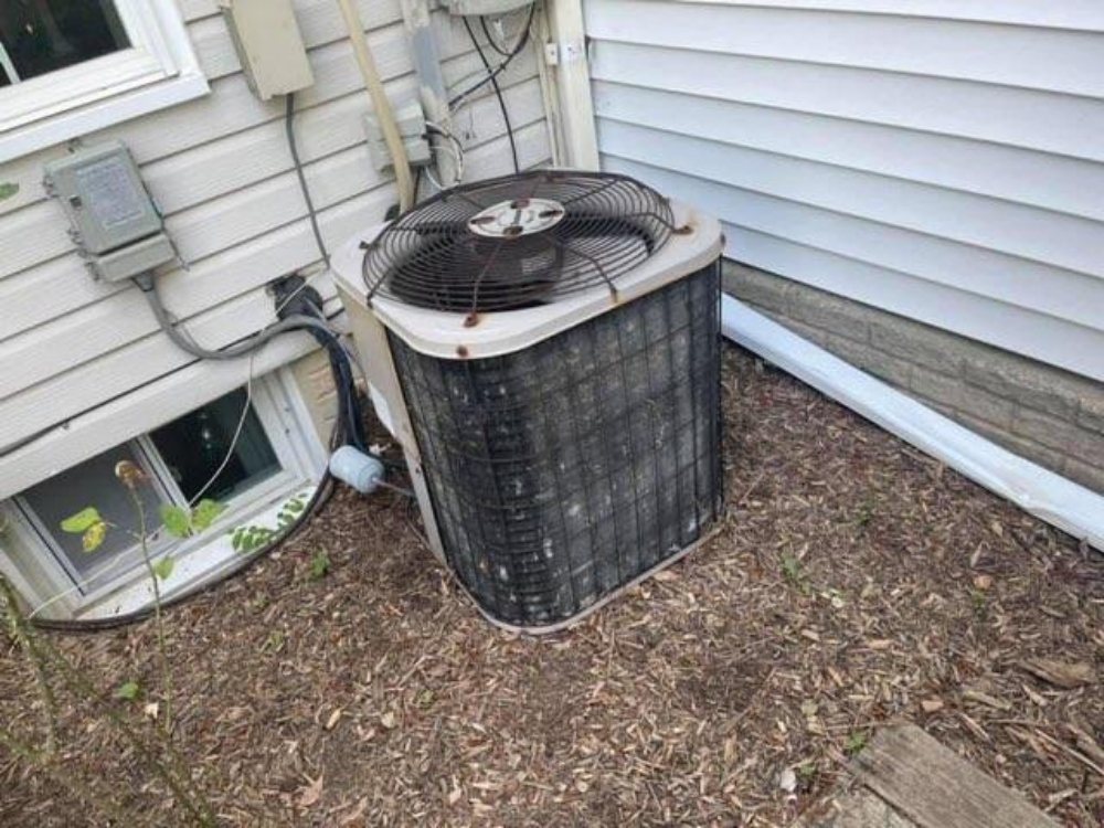 Slide of Wilcox Services