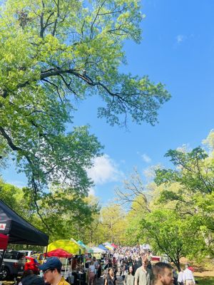 RVA BIG Market by null