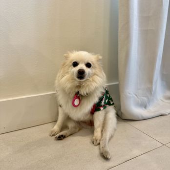 Kendall Pointe Animal Hospital - Veterinarians Near Me - Miami, Florida