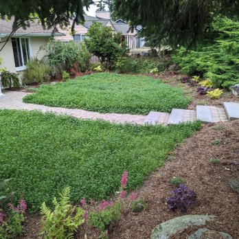 Ballinger Landscaping - Pressure Washers Near Me - Shoreline, Washington Ballinger Landscaping - Pressure Washers Near Me - Shoreline, Washington