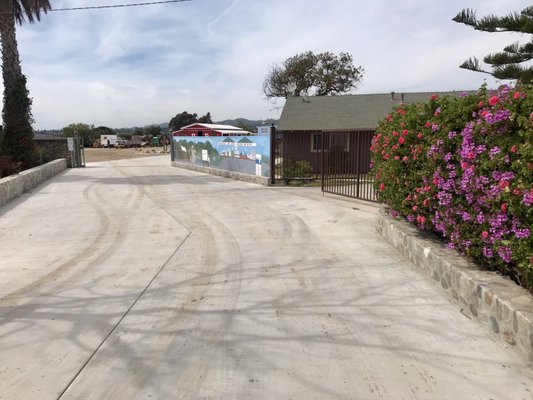 Harry's Berries by null