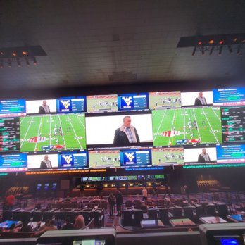 Circa - Sports book - Casinos Near Me - Las Vegas, Nevada