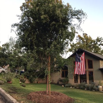 Moon Valley Nurseries - Tree Services Near Me - Chino, California Moon Valley Nurseries - Tree Services Near Me - Chino, California