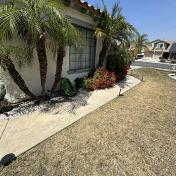 PR Landscape - Front Pygmy Palm & Plant Trimming Before - Landscaping Near Me PR Landscape - Front Pygmy Palm & Plant Trimming Before - Landscaping Near Me