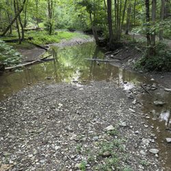 Cedar Creek Park - Walking trail