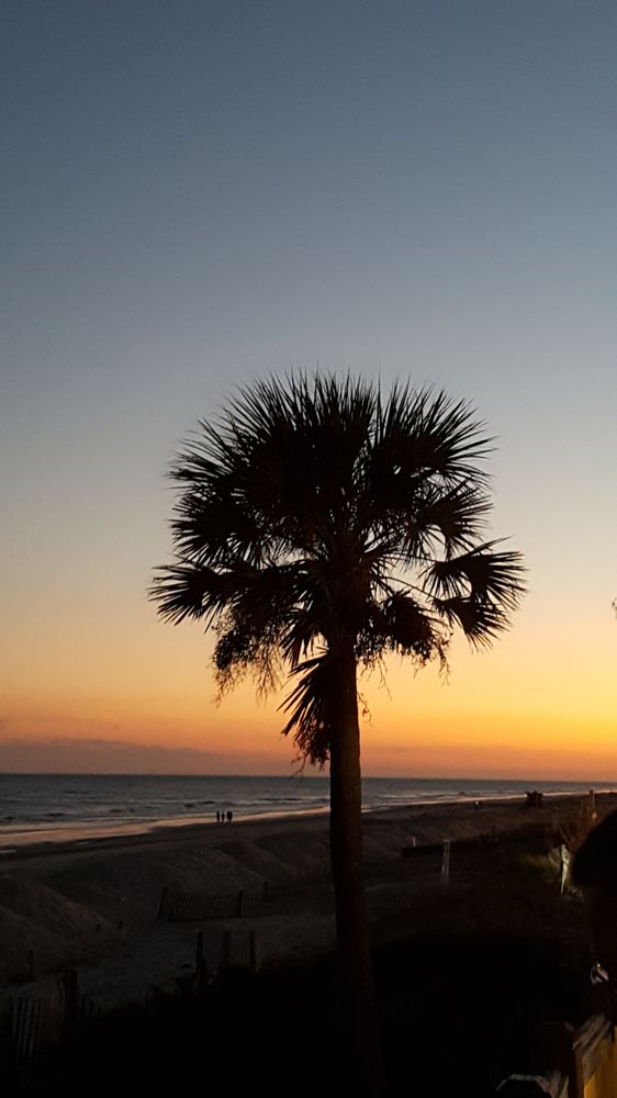 RV Mold and Odor - mold inspector in Myrtle Beach, SC