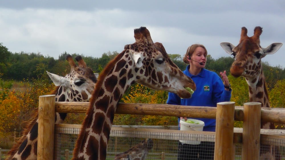 BANHAM ZOO Updated August 2024 16 Reviews Kenninghall Road