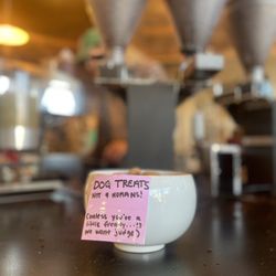 Kaladi Coffee Roasters - Dog friendly!!