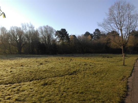 Ormeau Park by null