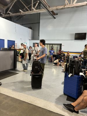 Fox Rent A Car Los Angeles by null