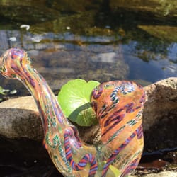 Come check out this Sherlock Marley's house Clearwater 28880 US Highway 19 N. Clearwater 33761 727-797-8888
